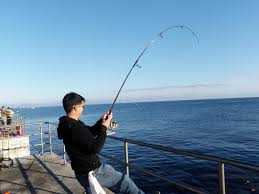 fishing rod